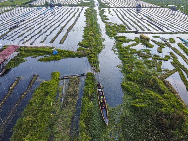 Aerial of the floating gardens