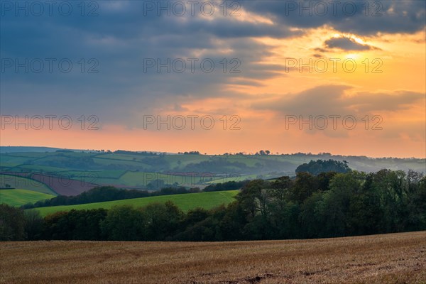 Sunset of the Fields