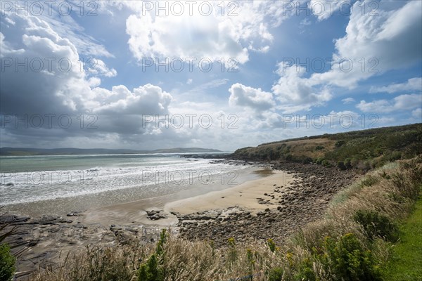 View of sandy beach and sea at Curio Bay