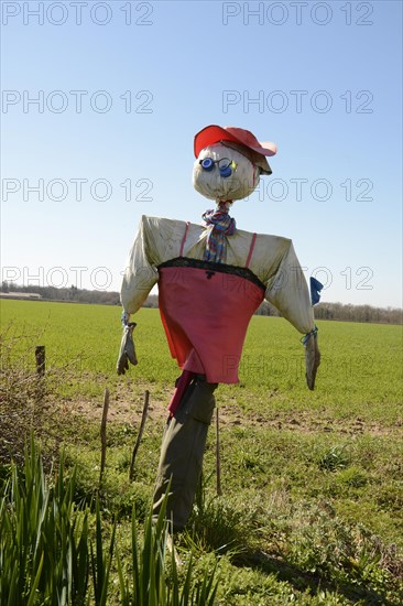 Scarecrow