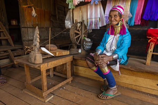 Portrait of a Padaung