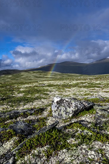 Rainbow in the tundra