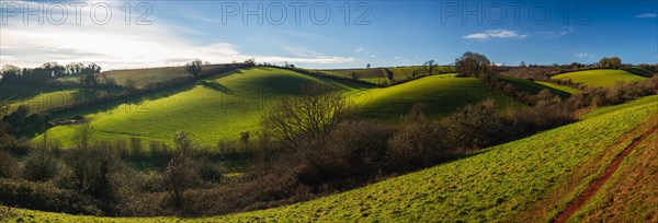 Fields and Meadows of Conqueror Wood