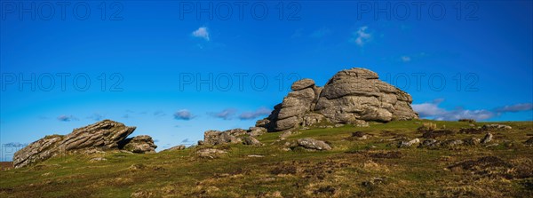 Fields and meadows in Haytor Rocks