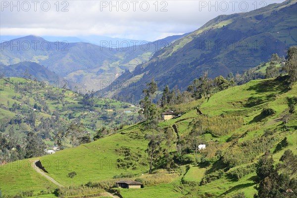 Cabins in green hilly landscape near Vilcabamba