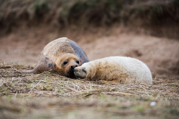 Mother with baby