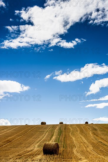 Straw bales after harvest