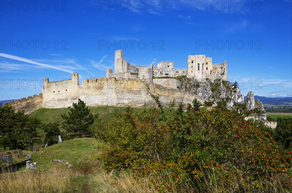 Beckov Castle Ruins