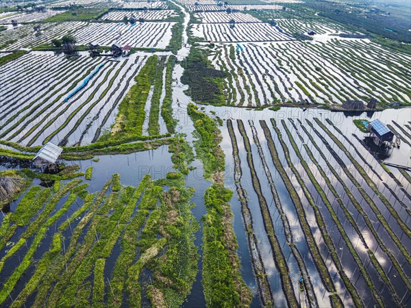 Aerial of the floating gardens