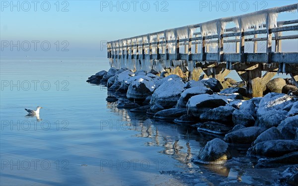 Pier with icicles