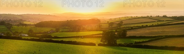 Sunset of the Fields