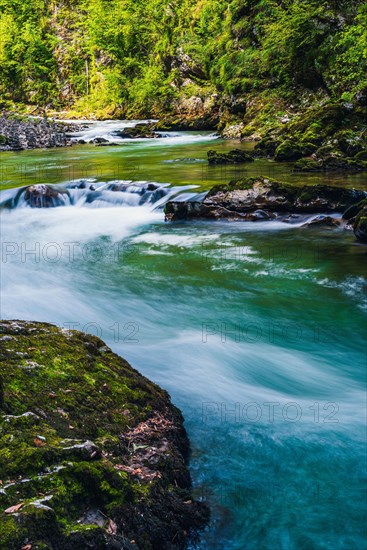 Radovna River in Vintgar Gorge