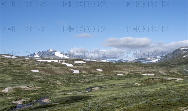 Brook in the fjell
