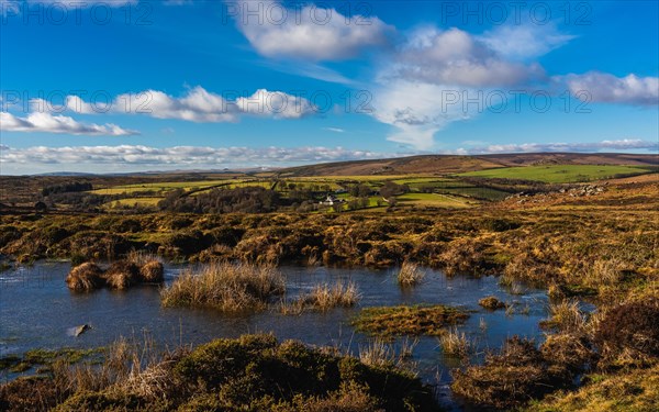 Fields and meadows in Haytor Rocks