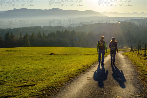 Hiker at the panorama path during the descent from the Kirnberg near Schoenberg