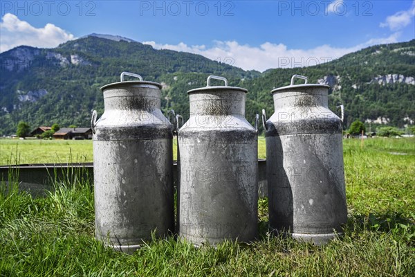 Milk cans in front of meadow and mountains