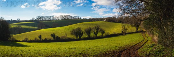 Fields and Meadows of Conqueror Wood