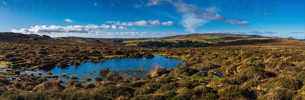 Fields and meadows in Haytor Rocks