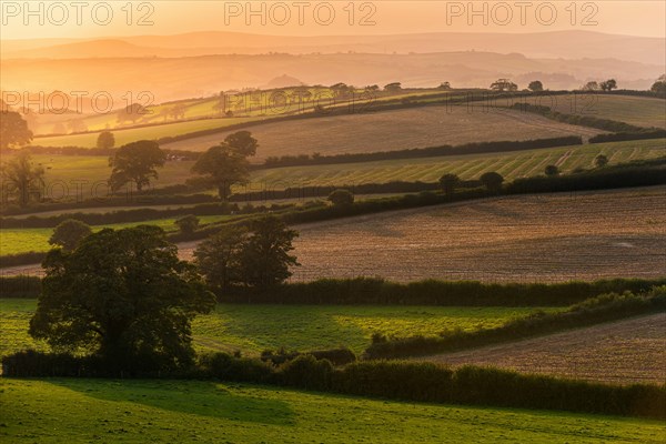 Sunset of the Fields