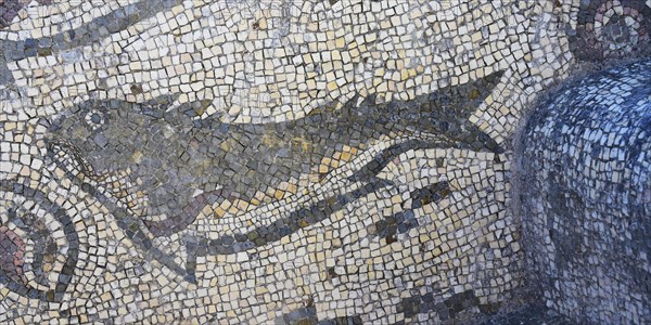 Mosaics with Fish figures