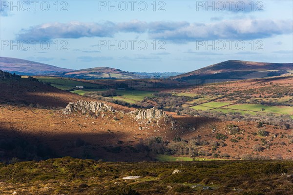 Fields and meadows in Haytor Rocks