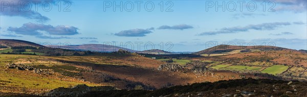 Fields and meadows in Haytor Rocks