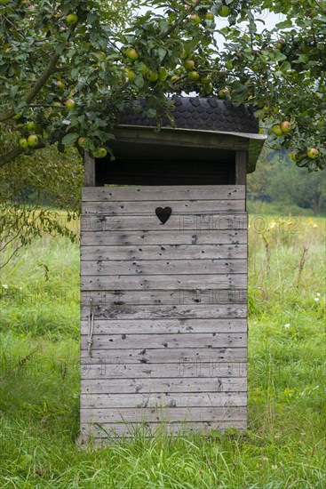 Wooden toilet house on meadow orchard