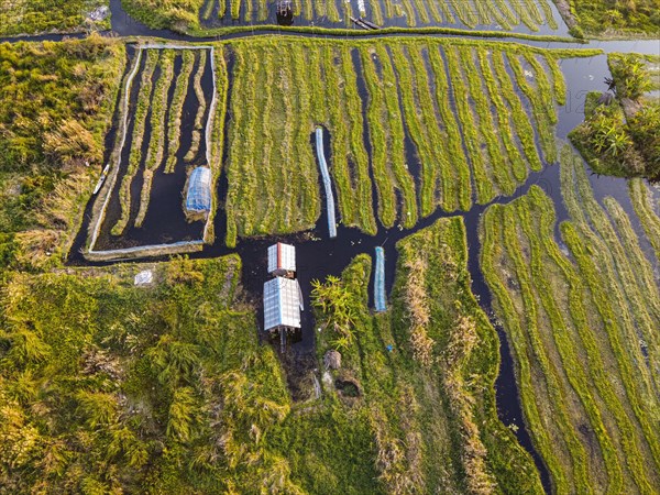 Aerial of the swimming gardens