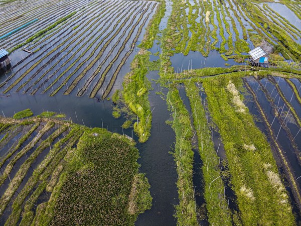 Aerial of the floating gardens