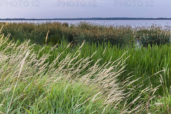 Shore landscape in the Filso nature reserve