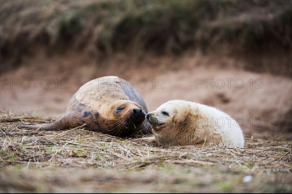 Mother with baby