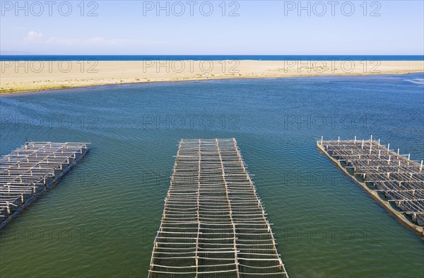 Mussel and oyster farming in the Bahia del Fangar