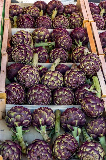 Crate of artichokes on a market stale