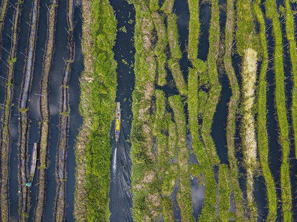 Aerial of the floating gardens