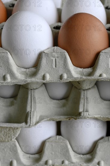White and brown eggs in egg carton
