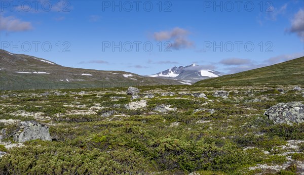 Fjell with mountain Snohetta