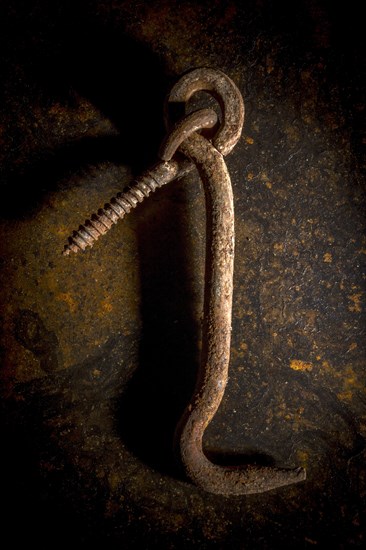 Rusty hook