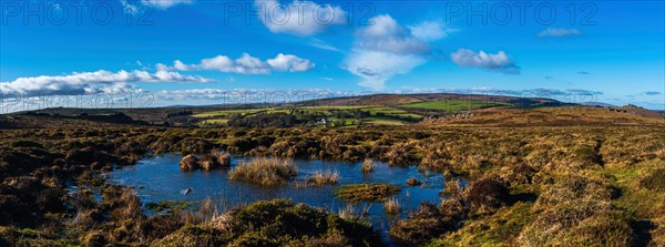 Fields and meadows in Haytor Rocks