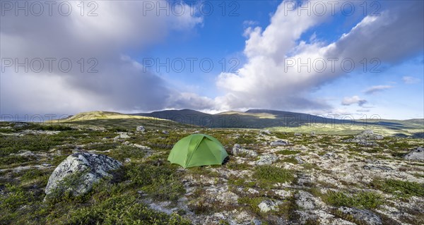 Green tent