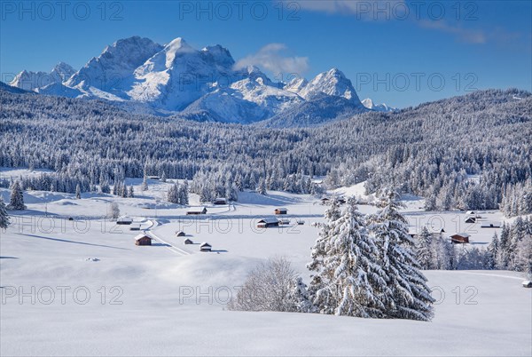 Winterly hummock meadows with Zugspitze group in the Wetterstein mountains