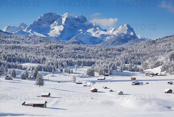 Winterly hummock meadows with Zugspitze group in the Wetterstein mountains