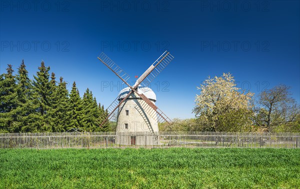 Tower windmill in spring