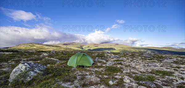 Green tent