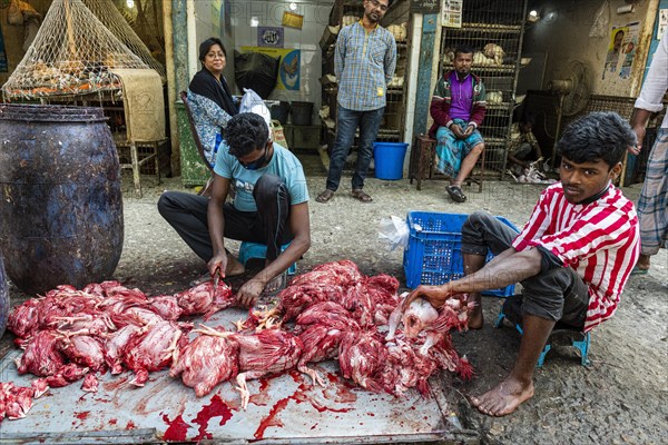 Men taking chicken apart