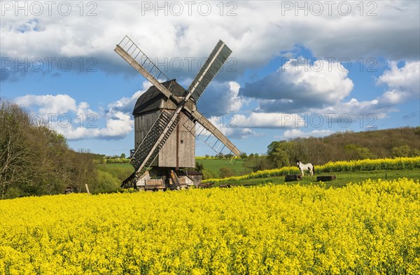 Buck windmill in a rape field