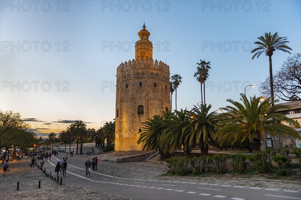 Illuminated Torre del Oro