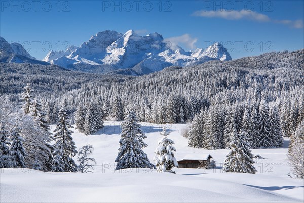 Winterly hummock meadows with Zugspitze group in the Wetterstein mountains