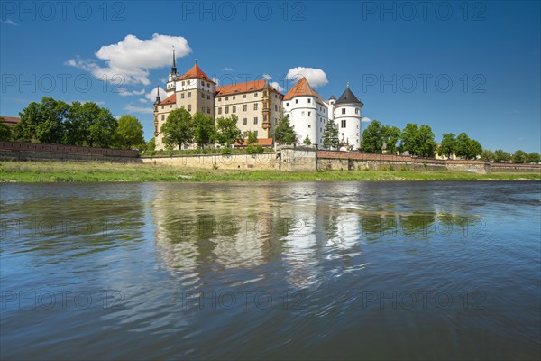 Hartenfels Castle on the Elbe