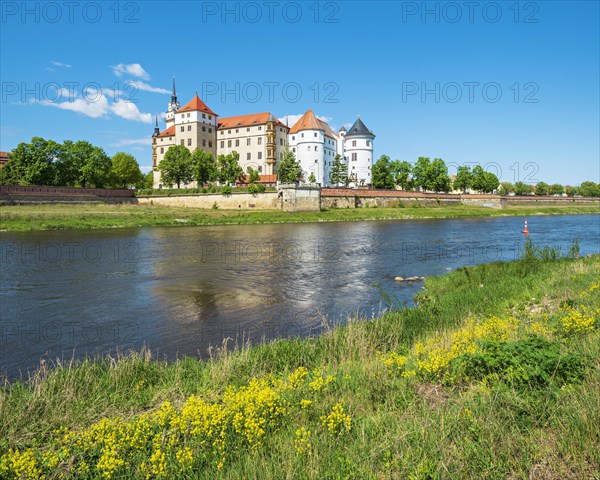 Hartenfels Castle on the Elbe