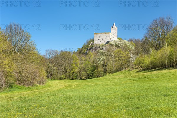 Rudelsburg castle ruins in spring